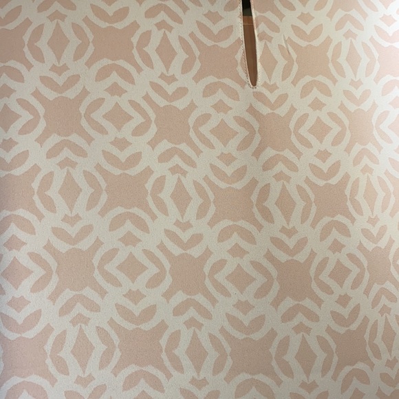 The Limited Blouse - Picture 8 of 8